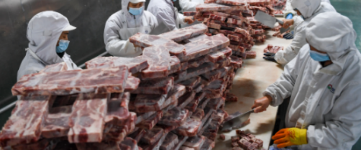 大奖国际(中国)最新官方网站