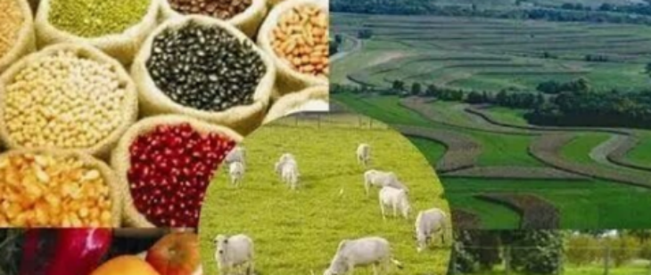 大奖国际(中国)最新官方网站