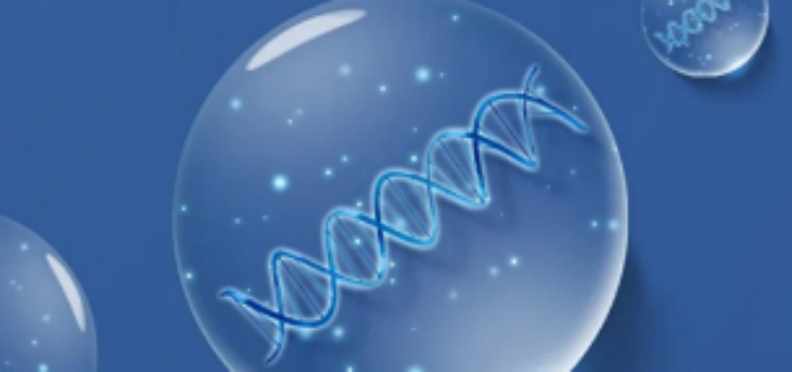 大奖国际(中国)最新官方网站