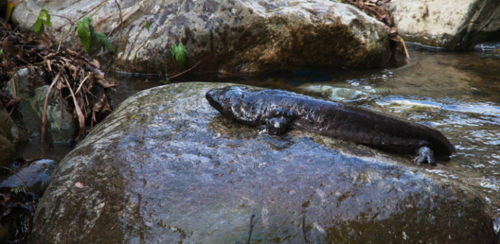 大奖国际(中国)最新官方网站